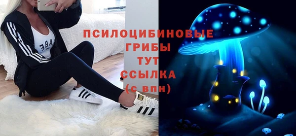 амф Зеленодольск