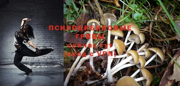 стаф Инсар