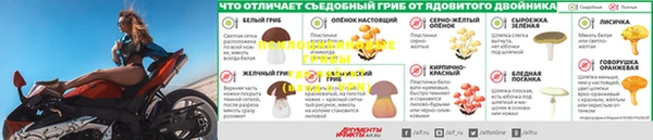 амф Зеленодольск