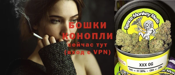 стаф Инсар